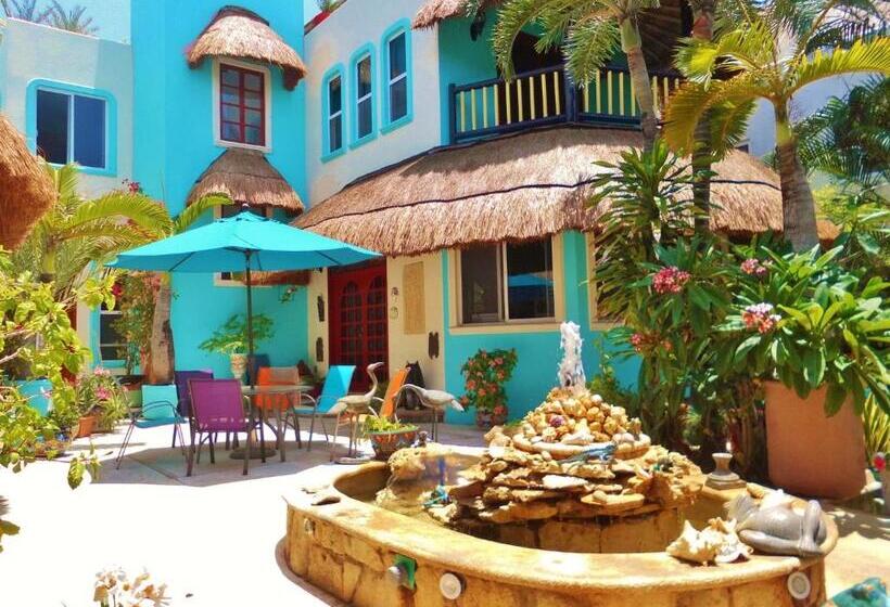آپارتمان 1 خوابه با بالکن, Casa Gatos