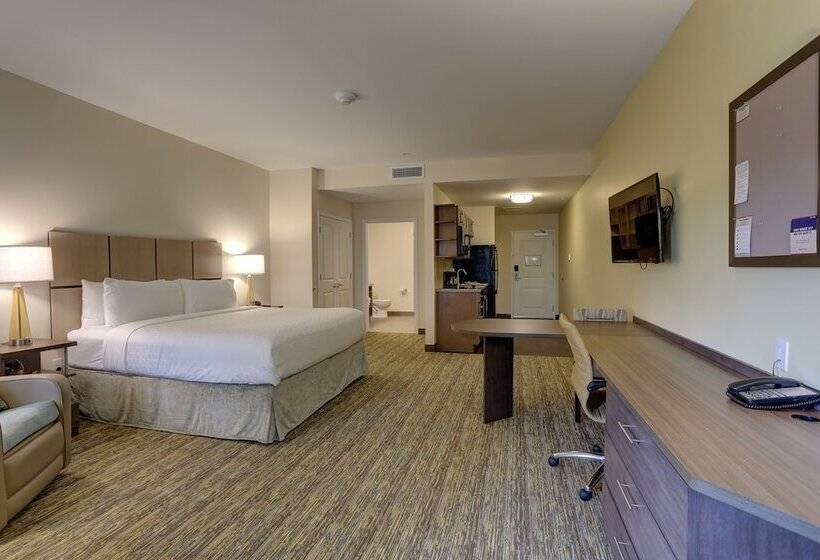 带双人床的标准工作室, Candlewood Suites   Safety Harbor, An Ihg