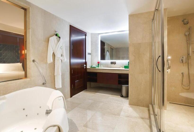 اتاق استاندارد با تخت بزرگ برای معلولان, Holiday Inn Dhaka City Centre By Ihg