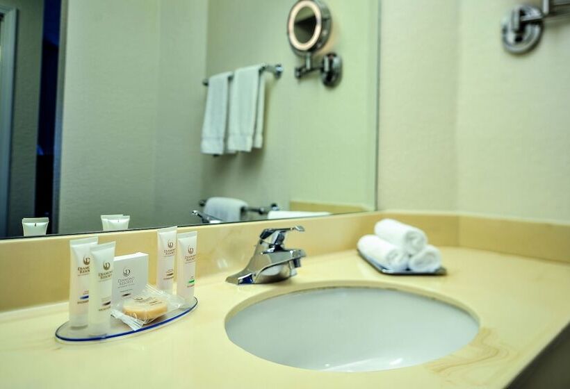 Suite, Hilton Vacation Club Varsity Club South Bend, In