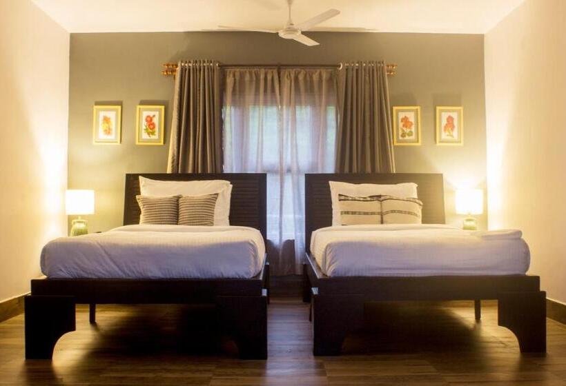 منزل غرفة نوم واحدة, The Temi Bungalow South Sikkim