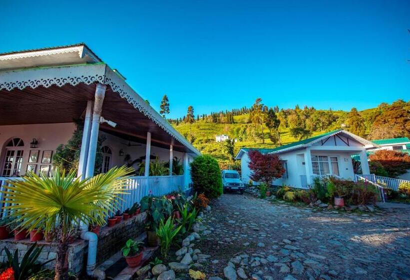 豪华洋房, The Temi Bungalow South Sikkim