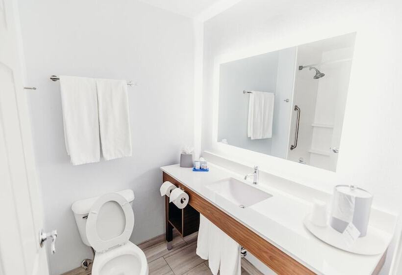 Quarto Estandar 2 Camas Casal, Holiday Inn Express Atlanta   Northeast I 85   Clairmont Road, An Ihg