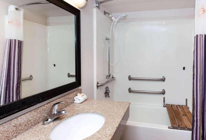 장애인을 위한 킹사이즈 침대 스탠다드 룸, La Quinta By Wyndham Milwaukee Bayshore Area