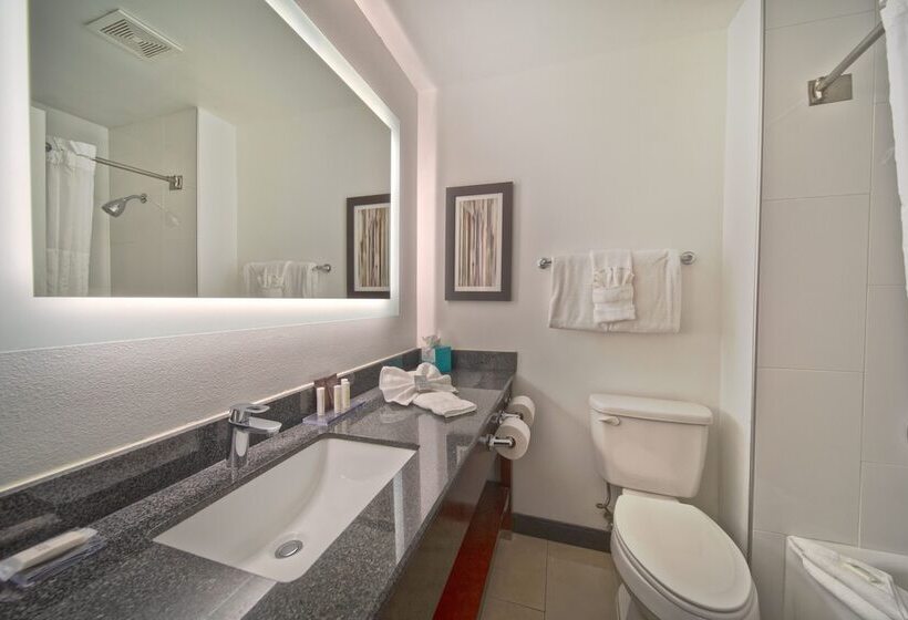带2个双人床的标准工作室, Wingate By Wyndham And Williamson Conference Center