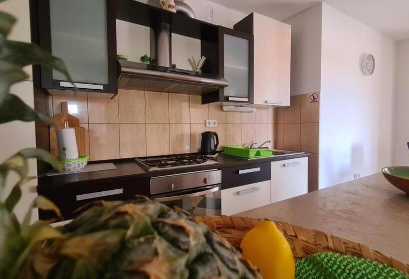 침실 1개 바다 전망 아파트, Apartments Baškovic