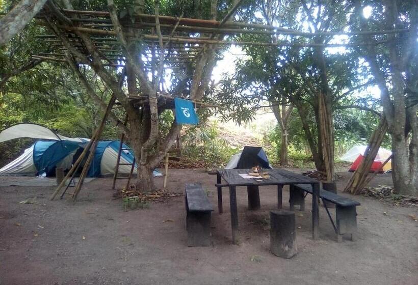 Standard Tent, Hospedaje Eden
