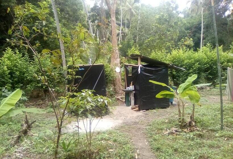 Standard Tent, Hospedaje Eden
