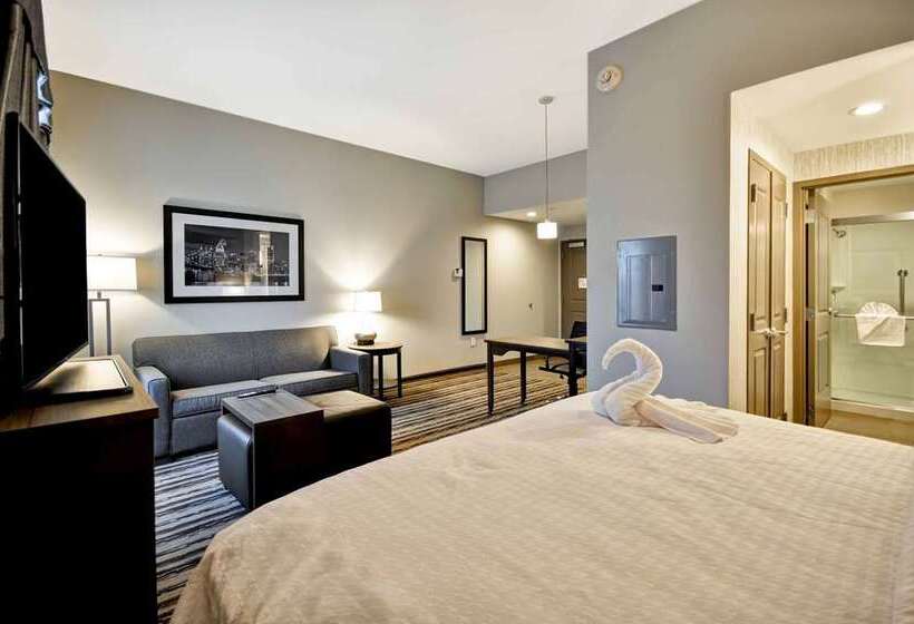 Studio Standard Lit King Size, Home2 Suites By Hilton Carmel Indianapolis