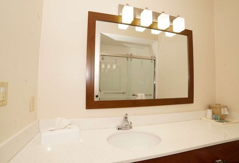 Suíte com Hidromassagem, Best Western Joliet Inn & Suites