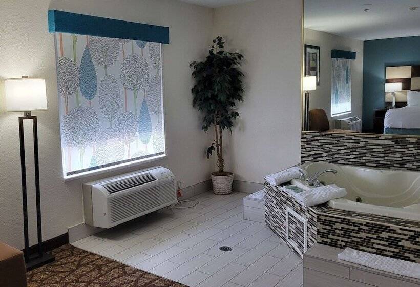 Suíte com Hidromassagem, Best Western Joliet Inn & Suites