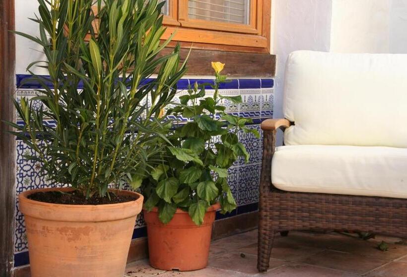 Номер Стандарт с Террасой, Boutique Hotel La Posada del Angel Ojén