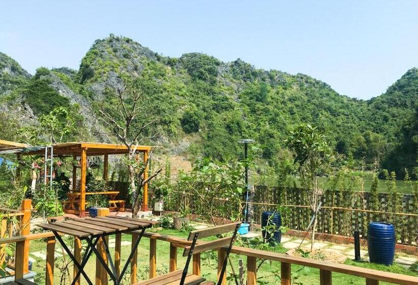 اتاق استاندارد با تخت بزرگ, Blue Lagoon Cat Ba