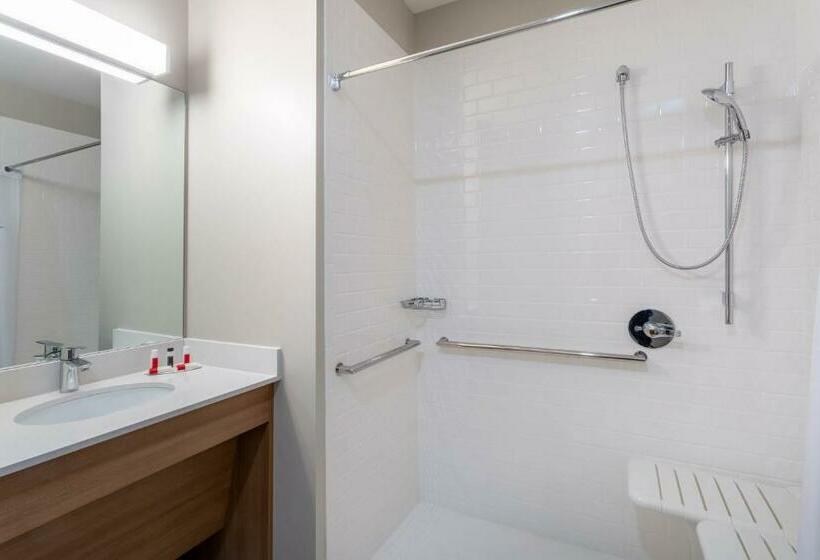 身障者適用スタンダードルーム, Microtel Inn & Suites By Wyndham Amsterdam