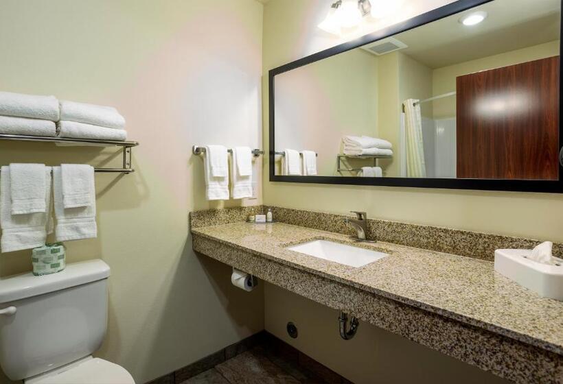 Стандартный Номер Кровать Кинг, Cobblestone Inn & Suites  Brookville