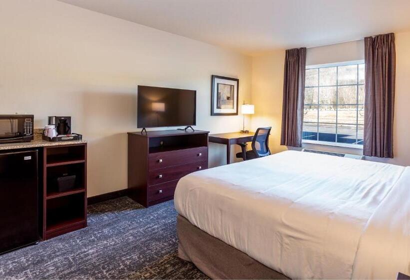 Номер Стандарт Кровать Кинг Адаптированный для Инвалидов, Cobblestone Inn & Suites  Brookville
