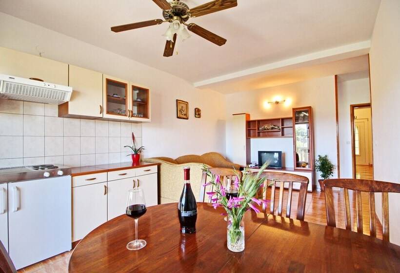 آپارتمان 1 خوابه با چشم‌انداز باغ, Apartments Veselka