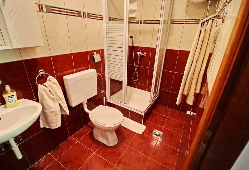 آپارتمان 1 خوابه با چشم‌انداز باغ, Apartments Veselka