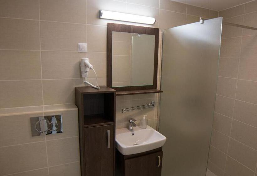 Апартаменты 1 Спальня Нижний Этаж, Mecset Apartman