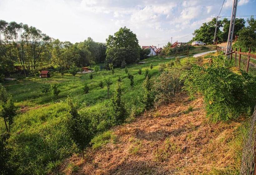 带3个卧室的公寓, Farkaskő Vendégház