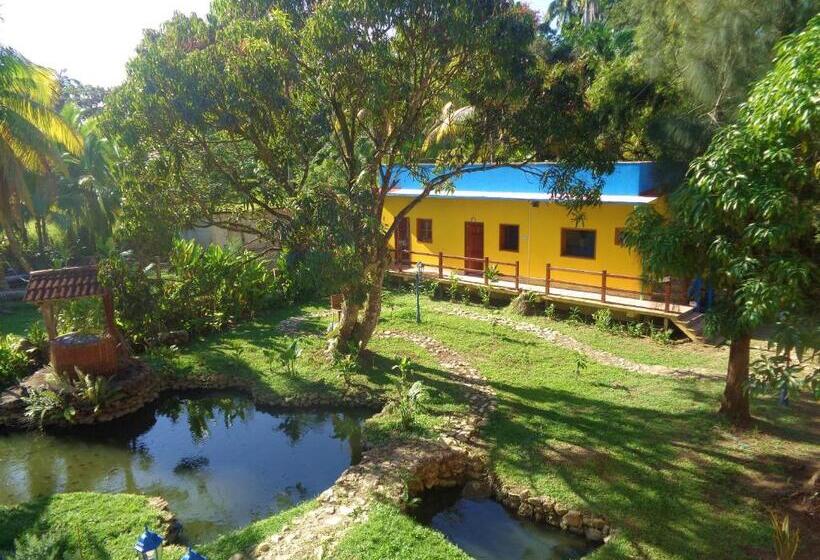 اتاق استاندارد سه تخته با چشم‌انداز باغ, Livingston Resort