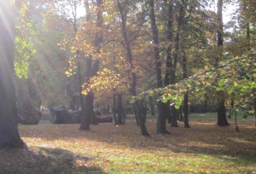 Четырехместный Номер Стандарт с Балконом, Csigaház Panzió