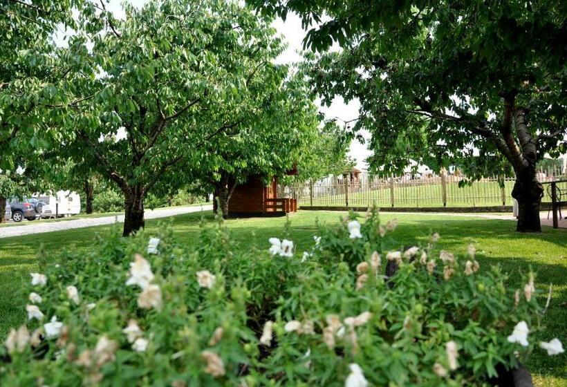 Номер Стандарт, Agriturismo & Agricamping Serena