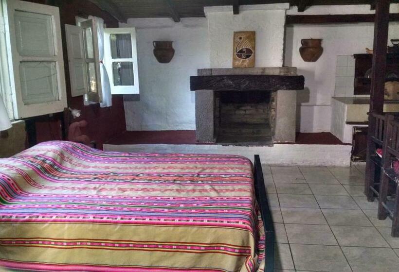 带1个卧室的公寓, El Jardin Colonial