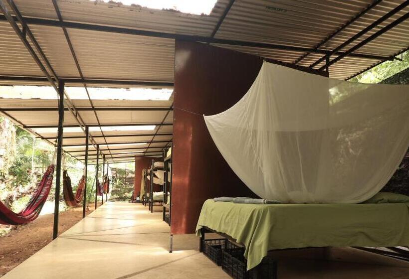 공동 객실, Bolita Trails And Lodging