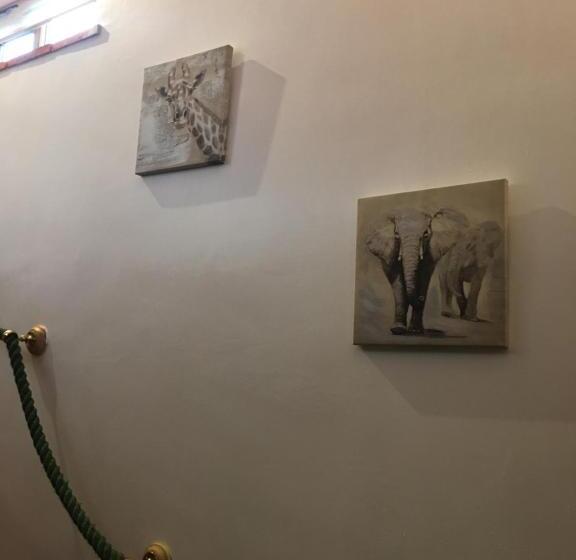 标准三人间, The Orangery