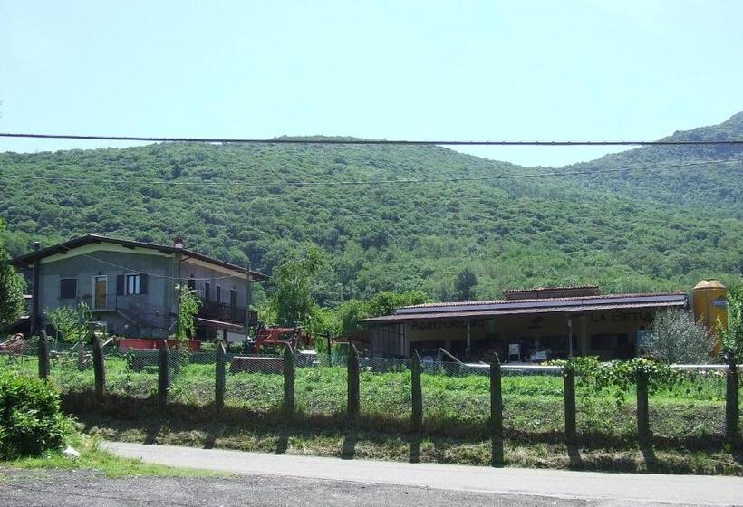 Студия Стандарт, Agriturismo La Betulla