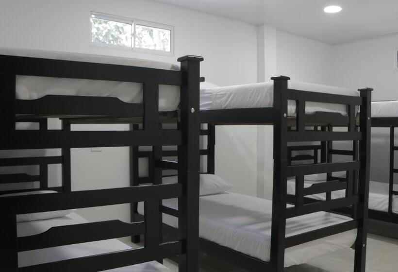 공동 객실, Puerto Caribe Hostal