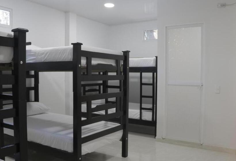 Кровать в Общей Комнате, Puerto Caribe Hostal