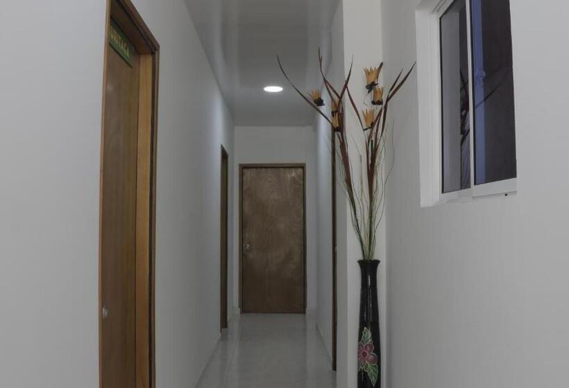 Кровать в Общей Комнате, Puerto Caribe Hostal
