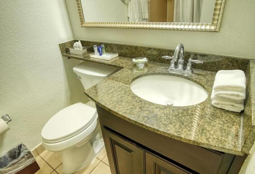 غرفة قياسية سرير كينج, Treasure Island Hotel And Marina