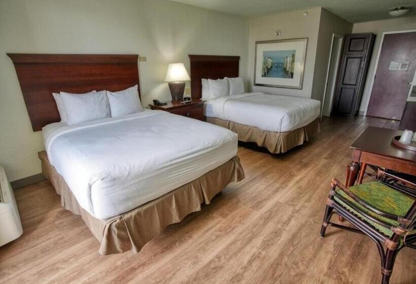 غرفة قياسية ذات إطلالة, Treasure Island Hotel And Marina