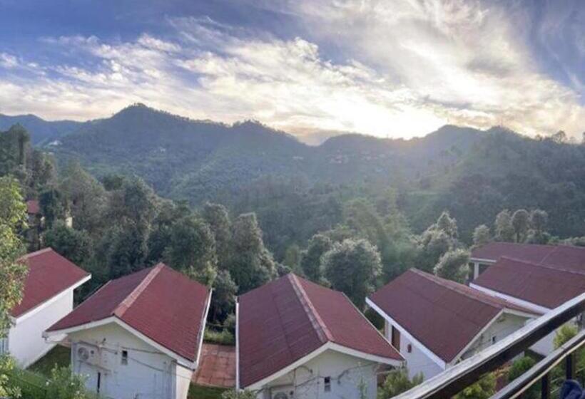 이그제큐티브 스위트, Skywood Resort Shoghi