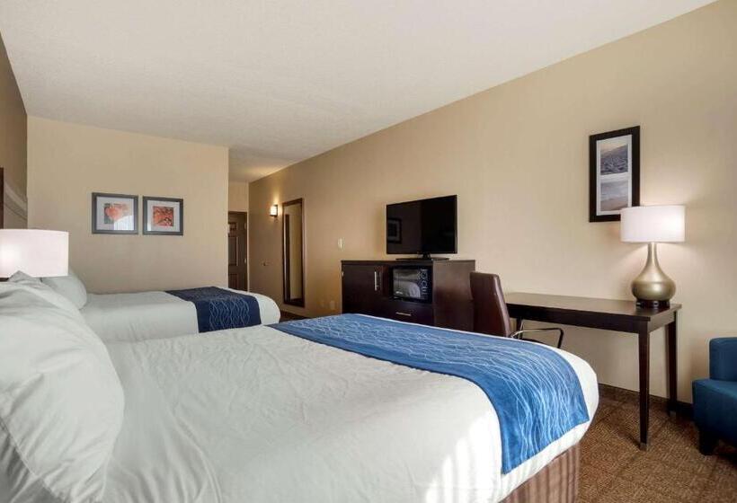 Номер Стандарт, Comfort Inn Greenville I65