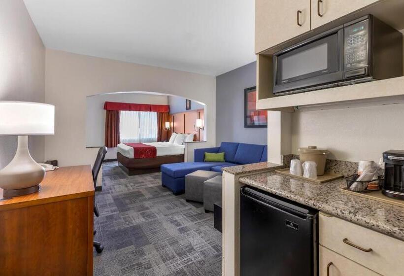 장애인을 위한 스위트, Comfort Suites Denver Tech Center