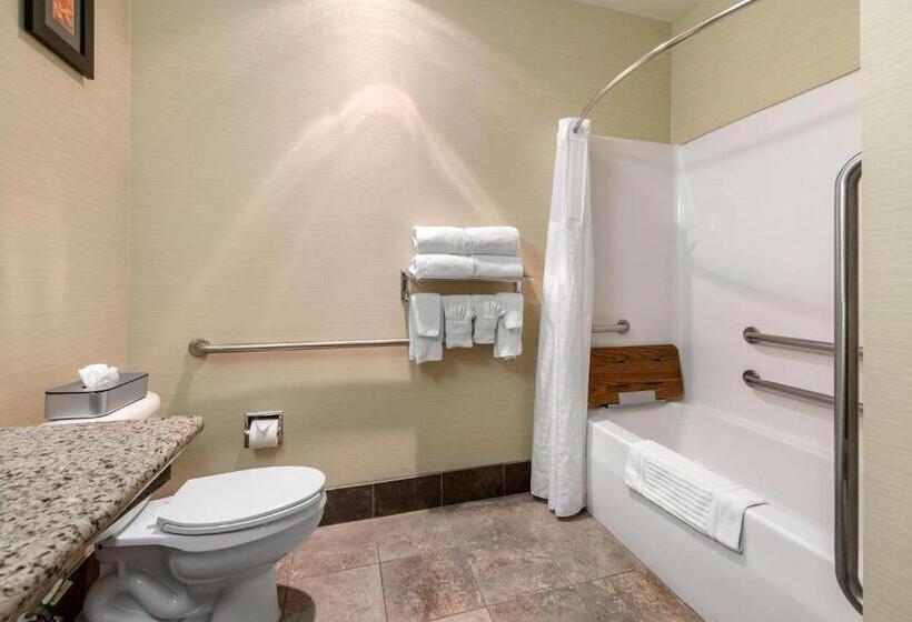 장애인을 위한 스위트, Comfort Suites Denver Tech Center