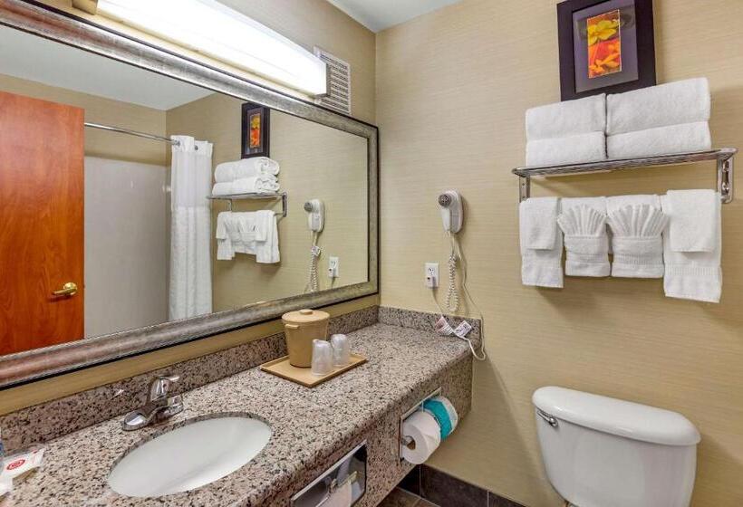 스위트 킹사이즈 침대, Comfort Suites Denver Tech Center