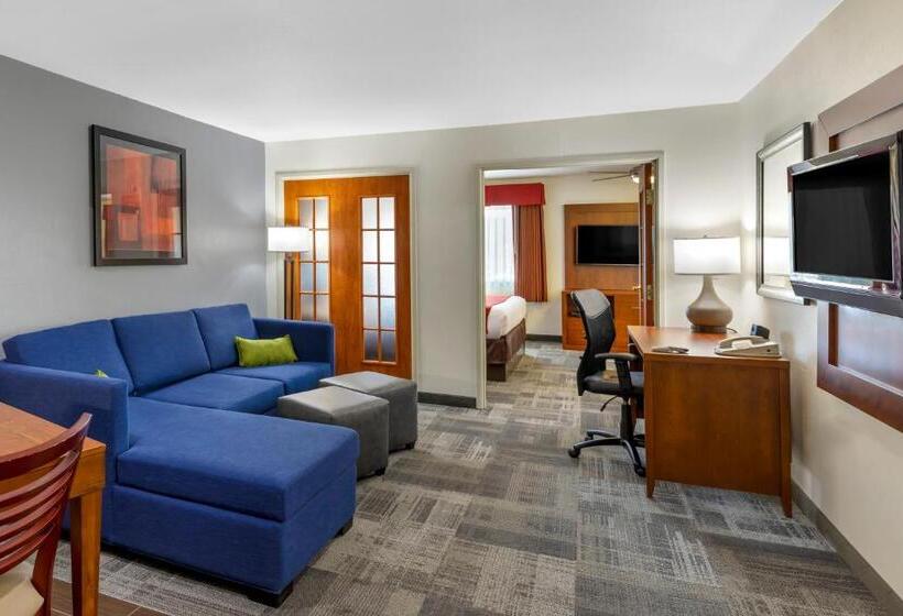 스위트 킹사이즈 침대, Comfort Suites Denver Tech Center