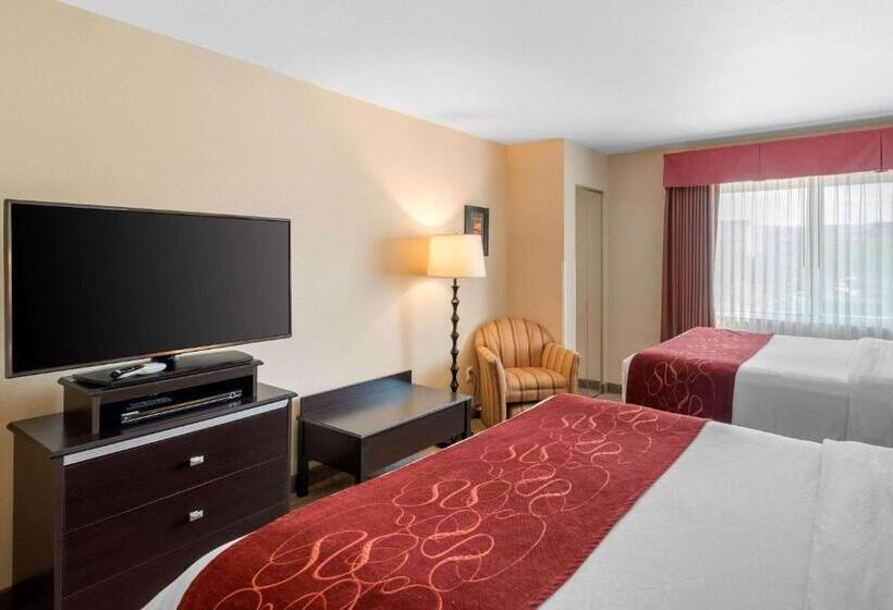 스위트, Comfort Suites Denver Tech Center