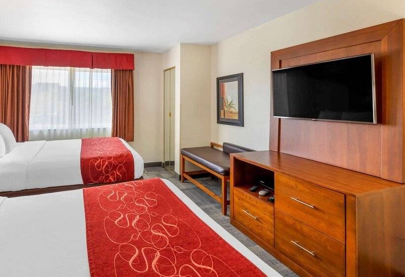 스탠다드 룸, Comfort Suites Denver Tech Center