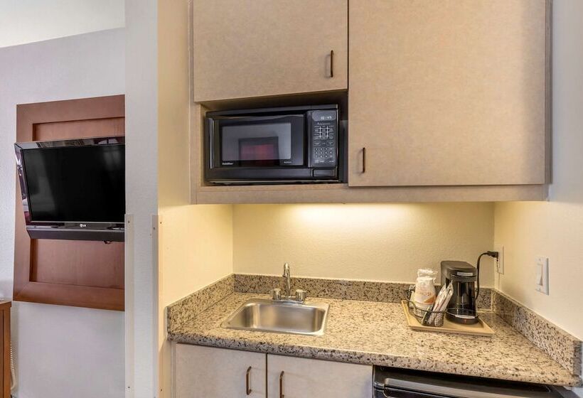 스위트, Comfort Suites Denver Tech Center