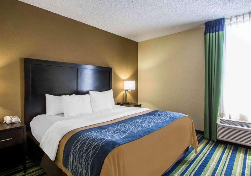 스위트 킹사이즈 침대, Comfort Inn & Suites Lantana   West Palm Beach South