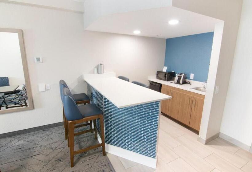 스위트, Holiday Inn Express And Suites Fort Lauderdale Airport West, An Ihg