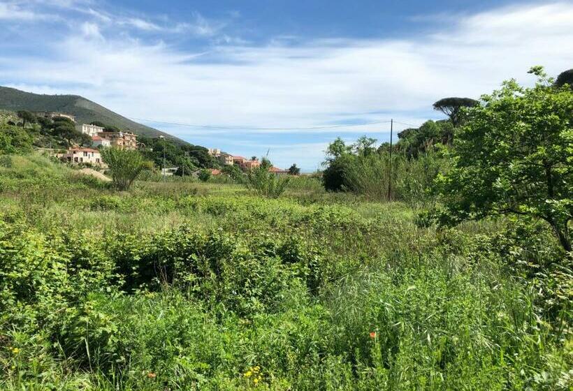 Номер Стандарт, Casale Coreallo