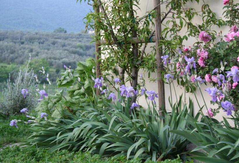 Standard room with outdoor bath, Bioagriturismo Podere Montisi