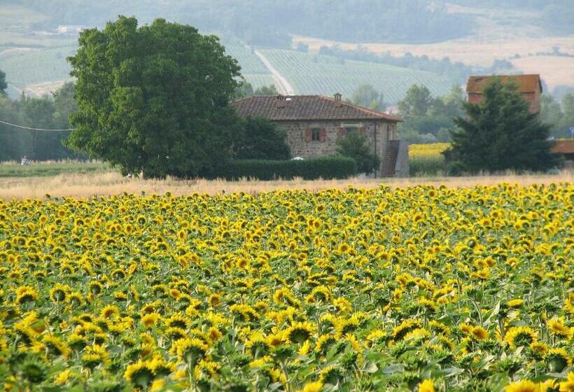 ２ベッドルームハウス, Agriturismo Poderi Minori